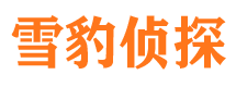 平湖外遇出轨调查取证